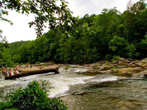 A scenic river surrounded by lush green trees, with people enjoying the water and a log in the foreground.