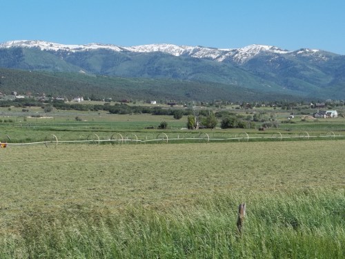 A lush green field with rolling hills and snow-capped mountains in the background under a clear blue sky.