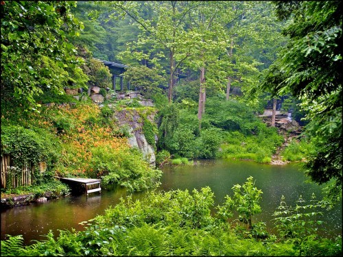 Lush green landscape with a serene pond, surrounded by trees and rocks, creating a tranquil natural setting.