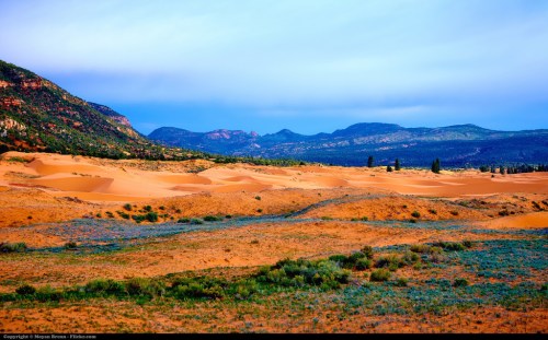 A scenic view of rolling sand dunes and mountains under a blue sky, with patches of greenery in the foreground.