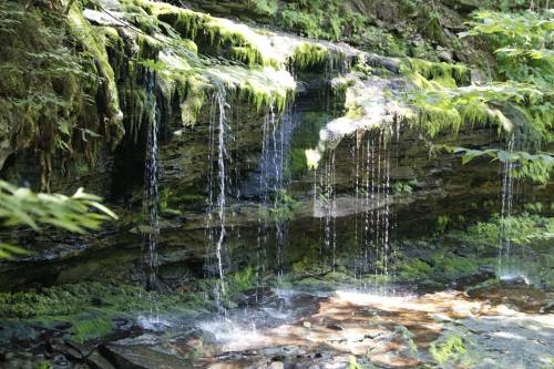 A serene waterfall cascading over moss-covered rocks, surrounded by lush greenery.
