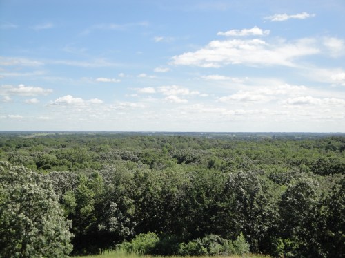 A panoramic view of lush green trees under a bright blue sky with scattered clouds.