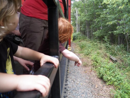 Two children lean out of a train window, pointing at the scenery as it passes through a wooded area.