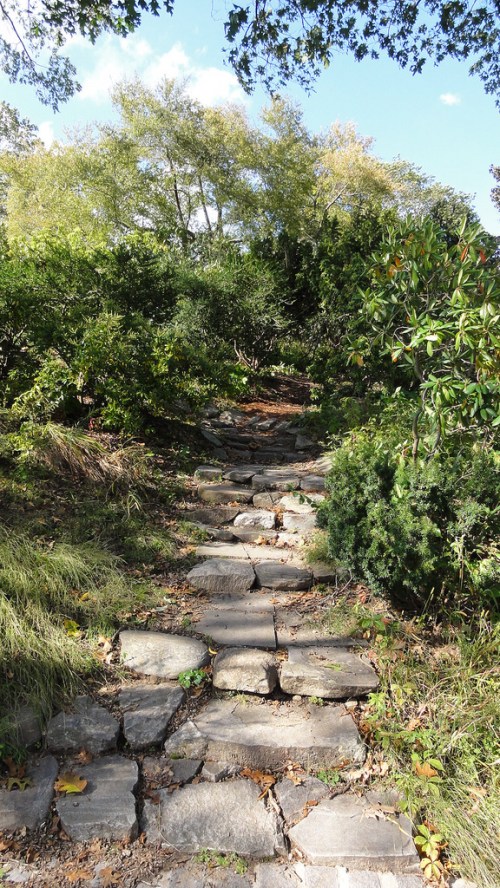 A stone pathway winds through lush greenery under a clear blue sky.
