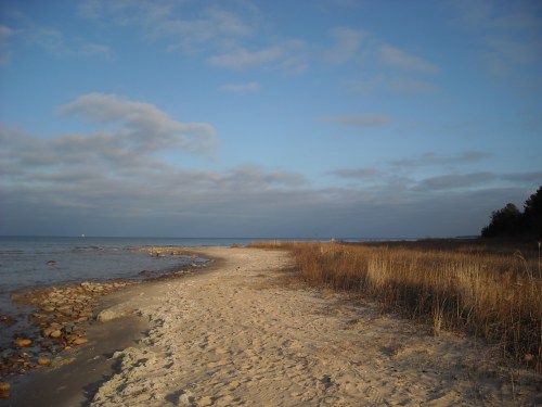 A serene beach scene with sandy shore, gentle waves, and sparse grass under a cloudy blue sky.