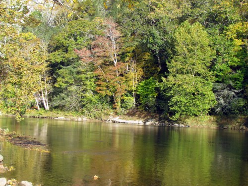 A serene river scene surrounded by lush green trees and hints of autumn colors reflecting on the water's surface.