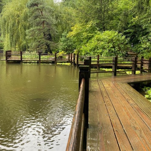A wooden walkway extends over a calm pond, surrounded by lush greenery and trees.