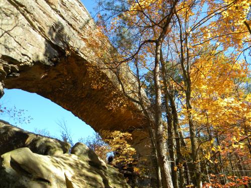 A natural stone arch surrounded by vibrant autumn foliage and clear blue sky.