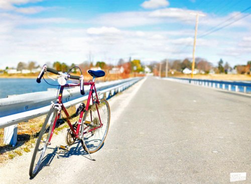 A pink bicycle rests on a quiet road beside a body of water, with blue skies and distant trees in the background.