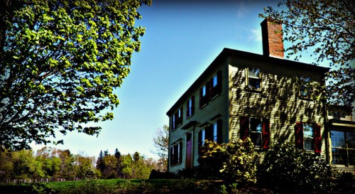 A charming yellow house with red shutters, surrounded by greenery under a clear blue sky.