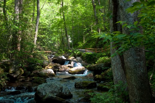 A serene forest scene with a flowing stream, large rocks, and lush green trees under bright sunlight.