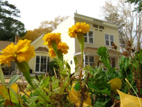 A yellow house with a sign reading "Fish House" surrounded by vibrant yellow flowers and greenery in the foreground.