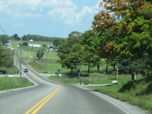 A winding rural road lined with green trees and fields under a clear blue sky.