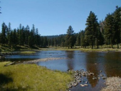 A serene river flows through a lush green landscape, surrounded by tall trees under a clear blue sky.