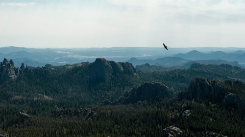 A vast mountain landscape with dense forests and a soaring bird in the sky, under a hazy blue atmosphere.