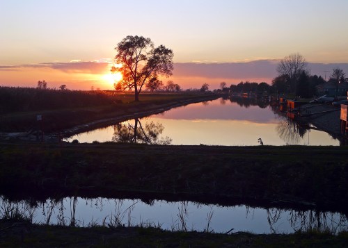 A serene sunset over a calm river, with a tree silhouetted against the colorful sky and reflections on the water.