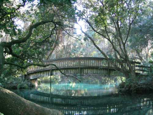 A wooden bridge arches over a serene, green-tinted stream, surrounded by lush trees and foliage.