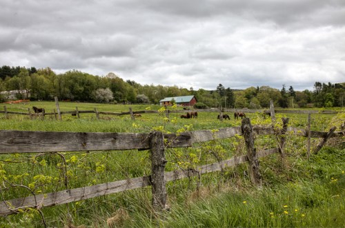 A scenic farm landscape with a red barn, green fields, and horses grazing under a cloudy sky.