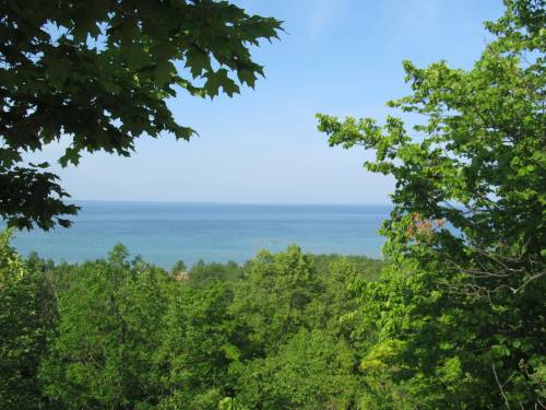 A serene view of a blue lake surrounded by lush green trees under a clear sky.