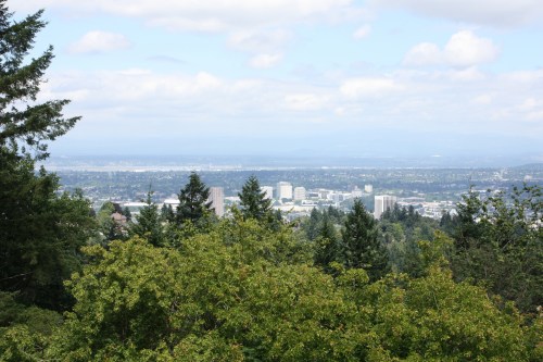 A panoramic view of a city skyline surrounded by lush green trees and a cloudy blue sky.