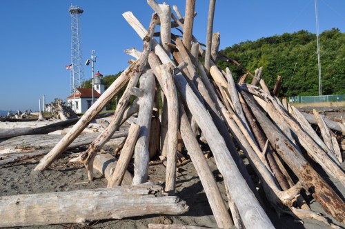 A pile of driftwood on a beach, with a lighthouse and communication tower in the background under a clear blue sky.