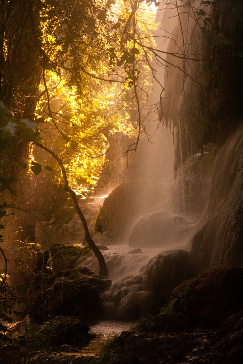 A serene waterfall cascades through lush greenery, illuminated by warm golden light filtering through the trees.