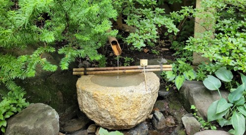 A stone basin with a bamboo spout, surrounded by lush greenery and rocks, gently flowing water into the basin.