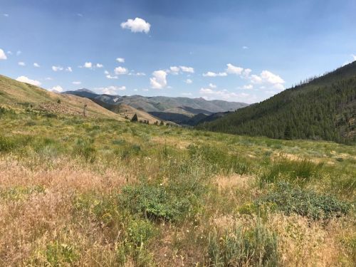 A scenic landscape featuring rolling hills, green vegetation, and a blue sky with scattered clouds.
