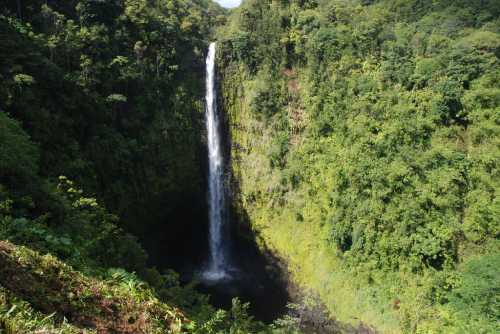 A tall waterfall cascades down a lush, green cliff surrounded by dense tropical foliage.