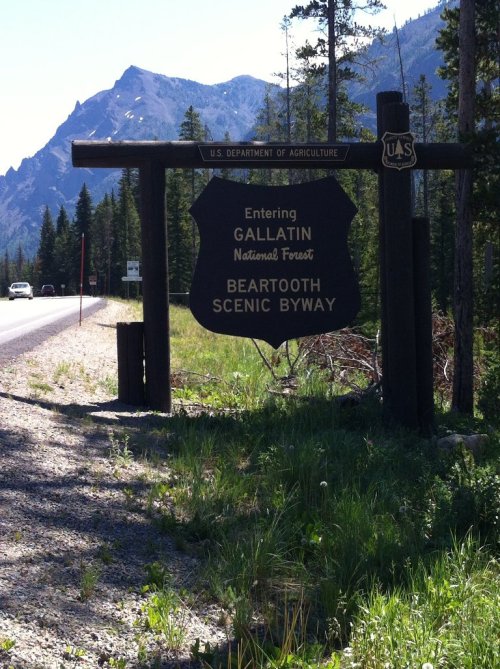 Sign marking the entrance to Gallatin National Forest and Beartooth Scenic Byway, surrounded by trees and mountains.