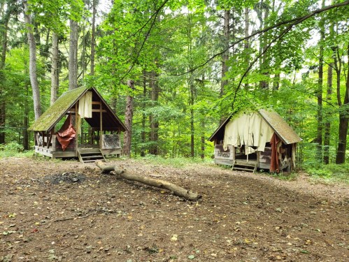 Two rustic cabins with sloped roofs in a wooded area, surrounded by trees and fallen leaves on the ground.