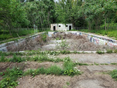 Abandoned swimming pool overgrown with weeds and branches, surrounded by trees and dilapidated buildings in the background.