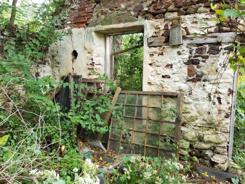 An overgrown, abandoned building with crumbling walls and a broken window frame surrounded by dense vegetation.