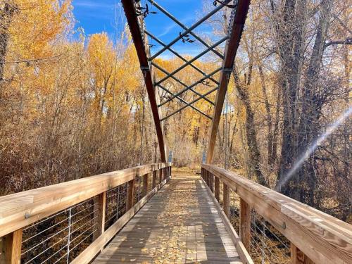 A wooden bridge surrounded by autumn trees with golden leaves under a clear blue sky.