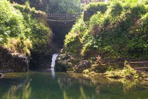 A serene landscape featuring a small waterfall flowing into a tranquil pool, surrounded by lush greenery and a wooden bridge.