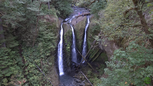 A serene waterfall cascading down rocky cliffs, surrounded by lush green trees and foliage.