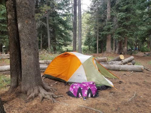 A colorful tent set up in a forest clearing, surrounded by tall trees and fallen logs. A purple bag is nearby.