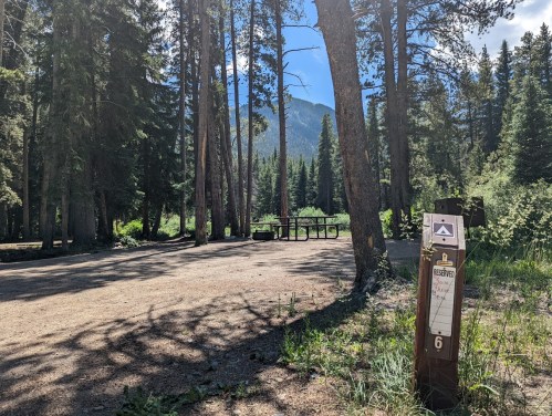 A campsite in a forest with tall trees, a picnic table, and a signpost indicating site number 6.