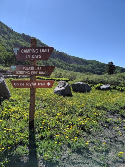 Signpost in a grassy area with wildflowers, indicating camping limits and directions to "Oh Be Joyful Trail."