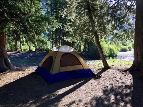 A tent set up in a forested area near a river, surrounded by trees and dappled sunlight.