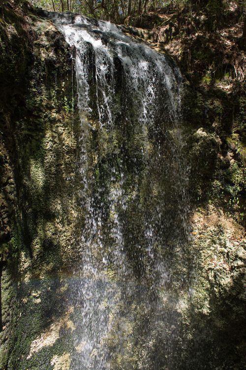A serene waterfall cascading over moss-covered rocks in a lush, green forest.