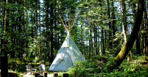 A teepee nestled in a lush forest, surrounded by trees and two wooden chairs nearby.