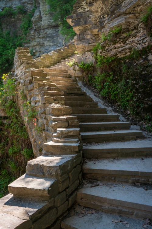 A winding stone staircase leads upward through a lush, green landscape. Sunlight filters through the trees.