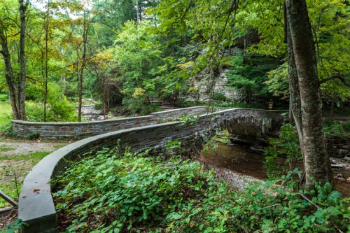 A curved stone bridge over a small stream, surrounded by lush green trees and foliage in a serene forest setting.