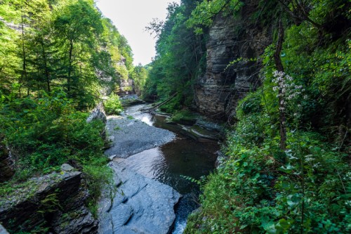 A serene river flows through a lush green canyon, surrounded by tall trees and rocky cliffs under a clear blue sky.
