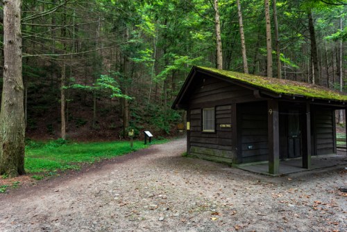 A rustic cabin surrounded by tall trees in a forest, with a gravel path leading to it.