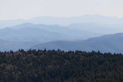 A panoramic view of layered blue mountains and a forested foreground under a clear sky.