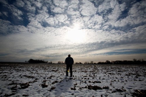 A person stands in a snowy field, gazing at a cloudy sky with the sun peeking through.