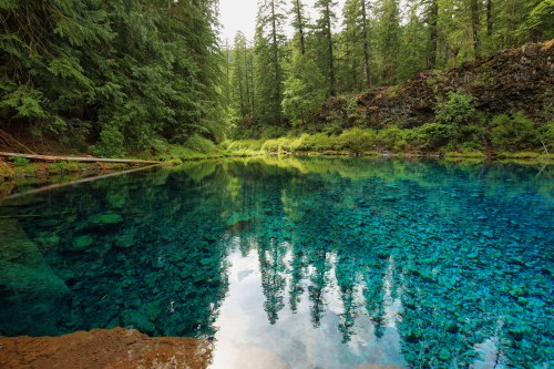 A serene blue lake surrounded by lush green trees and rocky terrain, reflecting the vibrant colors of nature.