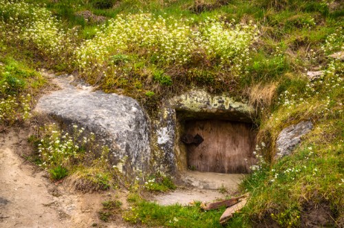 A small wooden door set into a rocky hillside, surrounded by green grass and white wildflowers.